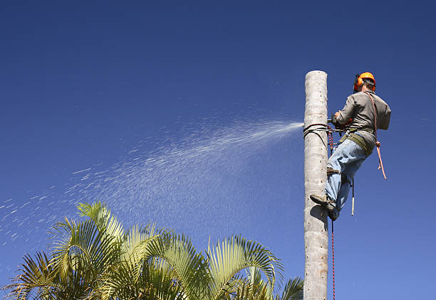 Landscape Design and Installation in Beach City, TX